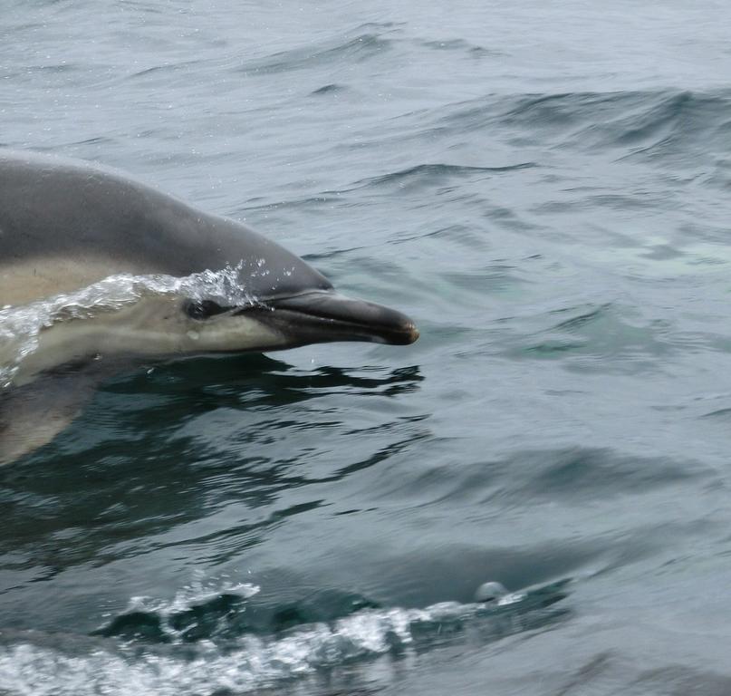 Aultbea Lodges Buitenkant foto